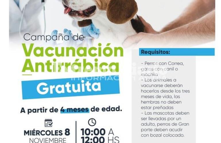 Imagen de Nueva jornada de vacunaci&oacute;n antirr&aacute;bica gratuita en Fighiera