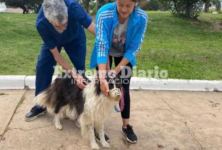 Imagen de Se realizó una nueva jornada de vacunación antirrábica en Fighiera