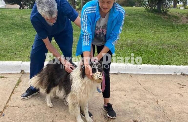 Imagen de Se realizó una nueva jornada de vacunación antirrábica en Fighiera