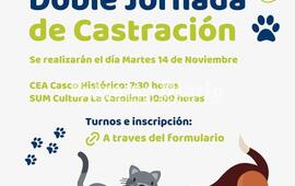 Imagen de La Comuna de Alvear realizar&aacute; doble jornada de castraciones gratuitas