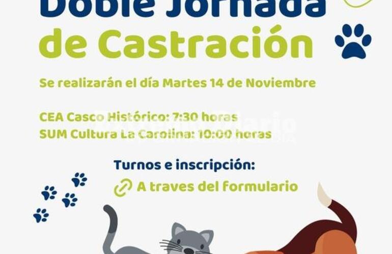 Imagen de La Comuna de Alvear realizará doble jornada de castraciones gratuitas