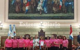 Imagen de La actividad solidaria del grupo �Reinas Tejedoras� fue declarada de inter&eacute;s por la C&aacute;mara de Diputados de Santa Fe.