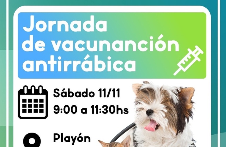 La cita es este pr&oacute;ximo s&aacute;bado 11 de noviembre.