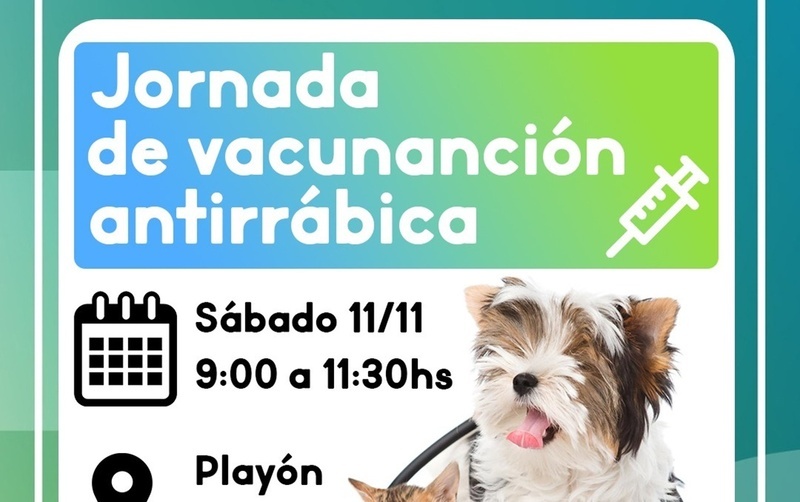 La cita es este pr&oacute;ximo s&aacute;bado 11 de noviembre.