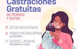 Imagen de Campa&ntilde;a de castraciones gratuitas: Nueva jornada en el Paseo Pedro Spina