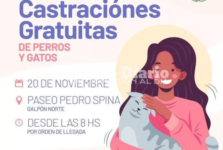 Imagen de Campaña de castraciones gratuitas: Nueva jornada en el Paseo Pedro Spina