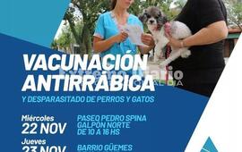 Imagen de Jornadas de vacunaci&oacute;n antirr&aacute;bica y desparasitaci&oacute;n de perros y gatos