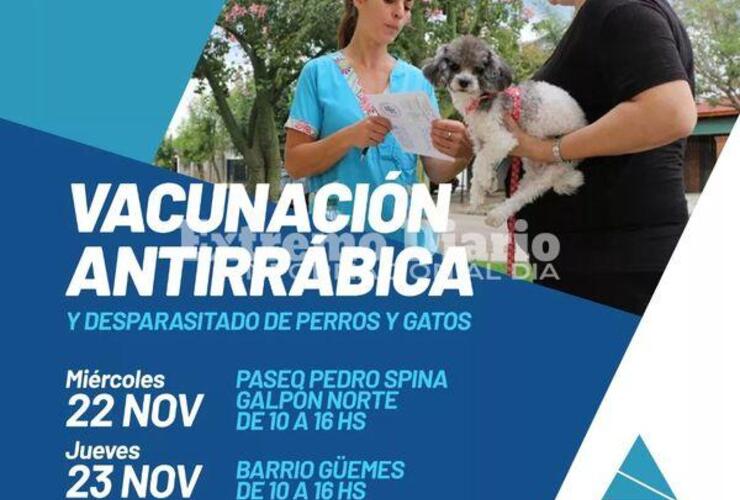 Imagen de Jornadas de vacunación antirrábica y desparasitación de perros y gatos