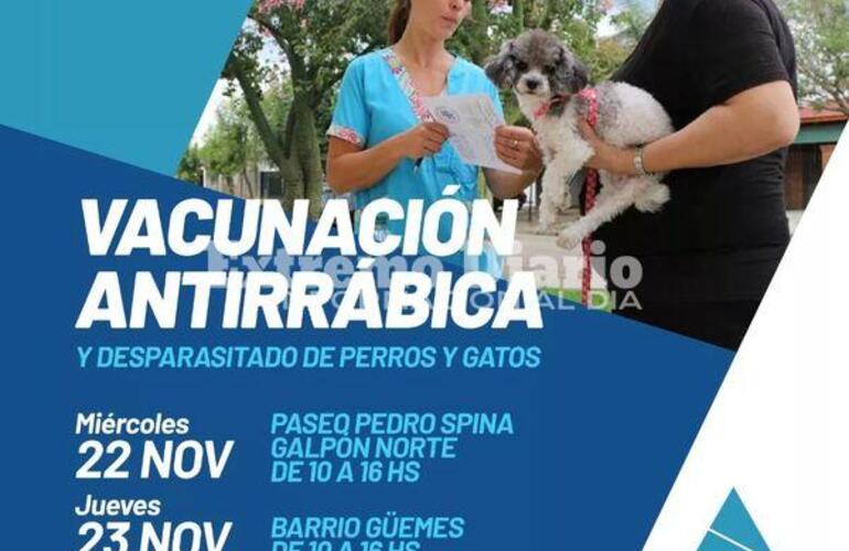 Imagen de Jornadas de vacunaci&oacute;n antirr&aacute;bica y desparasitaci&oacute;n de perros y gatos