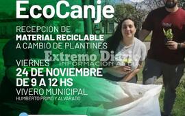 Imagen de Viernes de EcoCanje en el vivero municipal