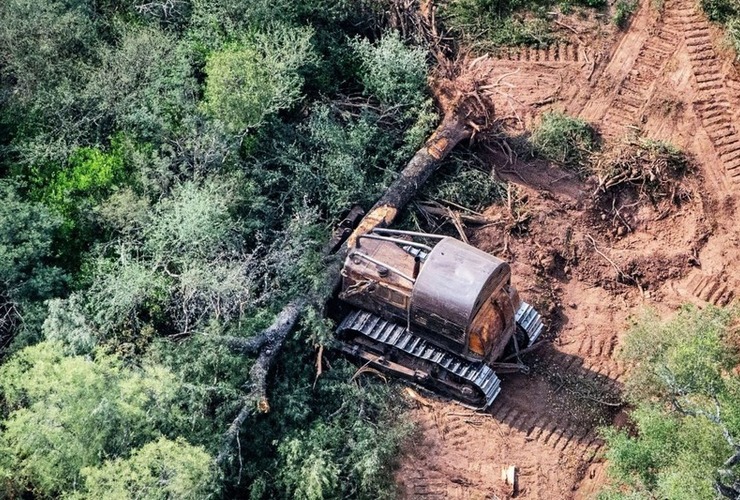 Imagen de Preocupación de los vecinos por el desmonte y la tala indiscriminada en Pueblo Esther y General Lagos