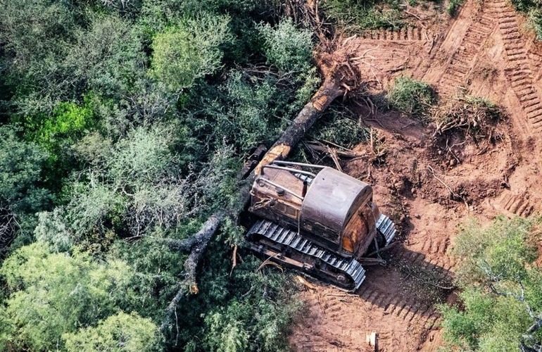 Imagen de Preocupación de los vecinos por el desmonte y la tala indiscriminada en Pueblo Esther y General Lagos