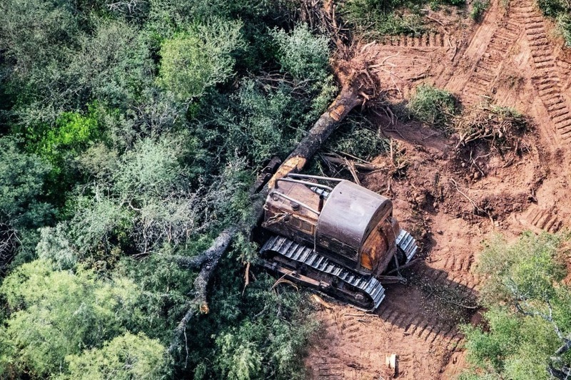 Imagen de Preocupaci&oacute;n de los vecinos por el desmonte y la tala indiscriminada en Pueblo Esther y General Lagos