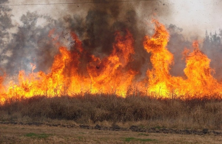 Imagen de Prohíben cualquier tipo de quemas en Entre Ríos hasta fines de febrero de 2024