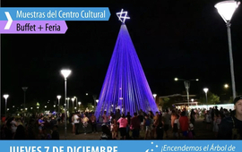 Imagen de Lagos bajo la Luna: El 7/12 se encienden las luces del arbolito de Navidad en el Parque Central.