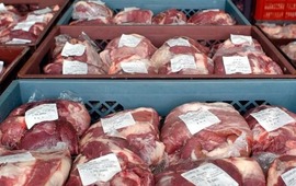 Imagen de Frigor&iacute;ficos santafesinos anticiparon que el kilo de carne llegar&aacute; a los $8.000 en cuesti&oacute;n de d&iacute;as