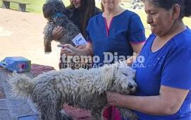 Imagen de Alvear: Se realiz&oacute; la jornada de vacunaci&oacute;n antirr&aacute;bica para perros y gatos