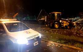 Imagen de Varias plantas ca&iacute;das por la tormenta