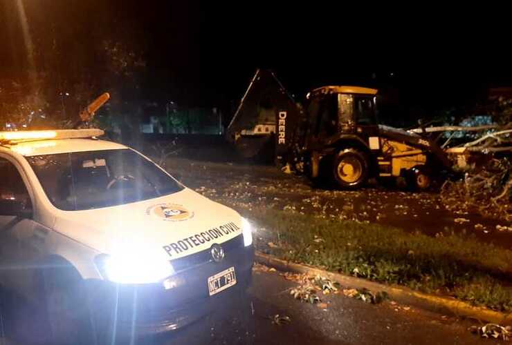 Imagen de Varias plantas caídas por la tormenta