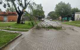 Imagen de Municipalidad de Pueblo Esther informa sobre incidentes durante la tormenta matutina