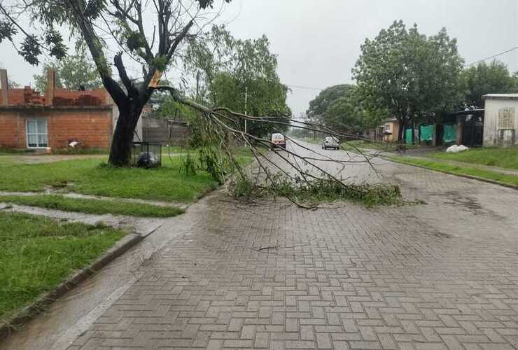 Imagen de Municipalidad de Pueblo Esther informa sobre incidentes durante la tormenta matutina