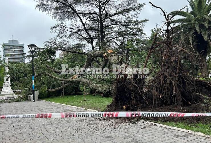 Imagen de La Municipalidad trabajó ante las inclemencias climáticas