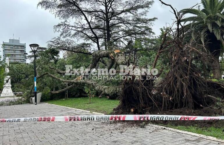 Imagen de La Municipalidad trabajó ante las inclemencias climáticas