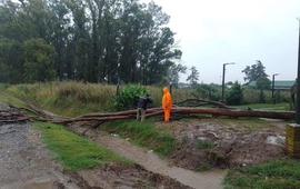 Imagen de Comunicado de la Comuna de Pav&oacute;n sobre la situaci&oacute;n post-tormenta