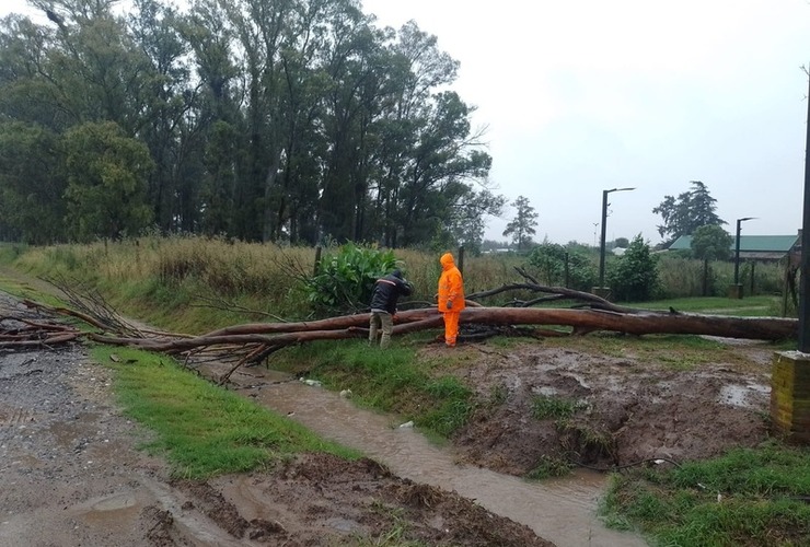 Imagen de Comunicado de la Comuna de Pavón sobre la situación post-tormenta