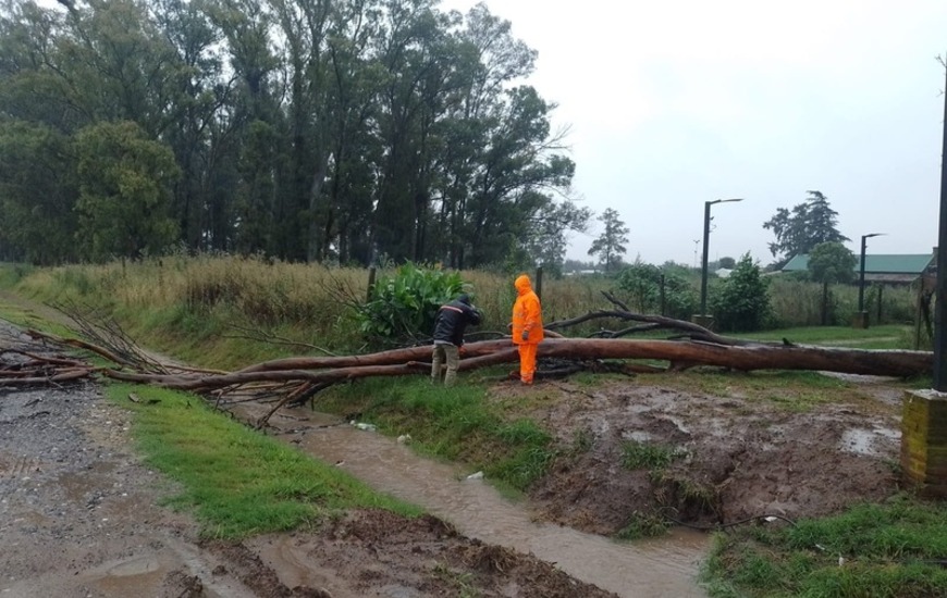 Imagen de Comunicado de la Comuna de Pav&oacute;n sobre la situaci&oacute;n post-tormenta