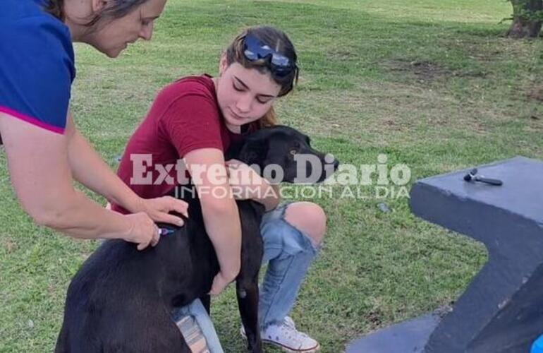 Imagen de Alvear: Cerraron las jornadas de vacunación antirrábica en el Distrito Oeste