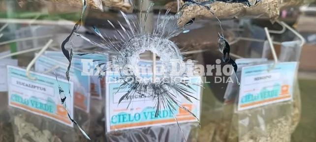 Imagen de Alvear: Un joven de 18 a&ntilde;os fue imputado por el ataque a la farmacia de Carlos Pighin