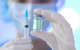 Imagen de Vacunaci&oacute;n contra Fiebre Hemorr&aacute;gica en Pav&oacute;n