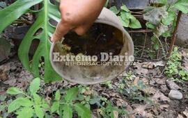 Imagen de Muri&oacute; un hombre con dengue en Corrientes