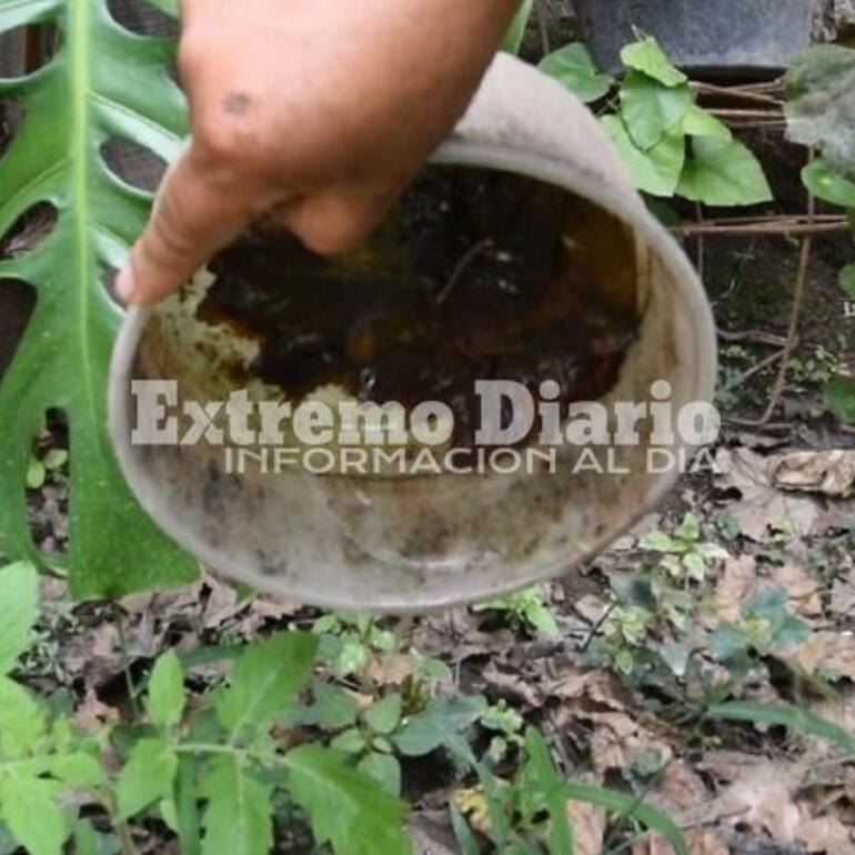 Imagen de Murió un hombre con dengue en Corrientes