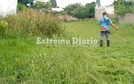 Imagen de Los propietarios de terrenos bald&iacute;os deber&aacute;n mantenerlos limpios y desmalezados