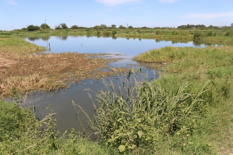 El Estado prohibi&oacute; moment&aacute;neamente el vuelco en las lagunas de tratamiento de l&iacute;quidos cloacales.