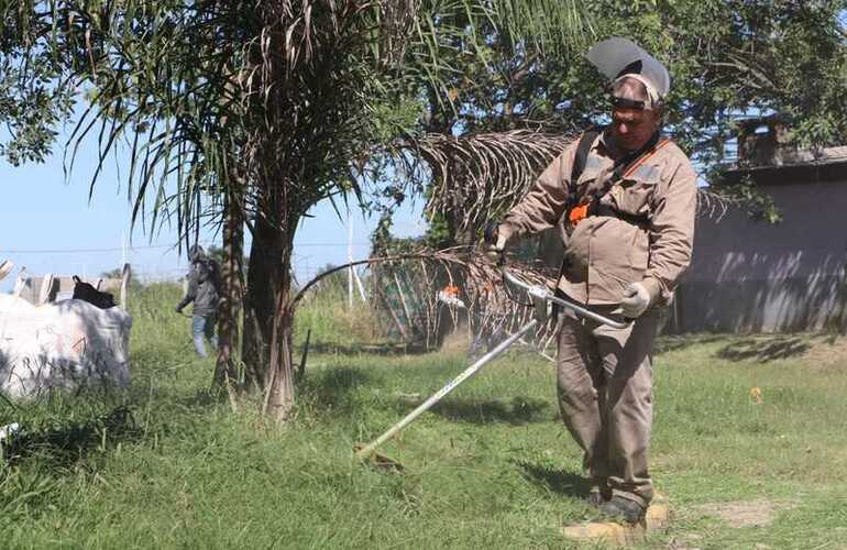 Imagen de Operativo de desmalezamiento para el reordenamiento de nuestros barrios y espacios públicos