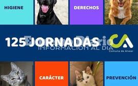 Imagen de La Comuna de Alvear realiz&oacute; 125 campa&ntilde;as de sanidad animal