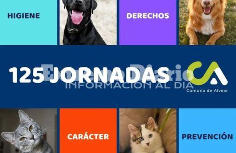 Imagen de La Comuna de Alvear realizó 125 campañas de sanidad animal