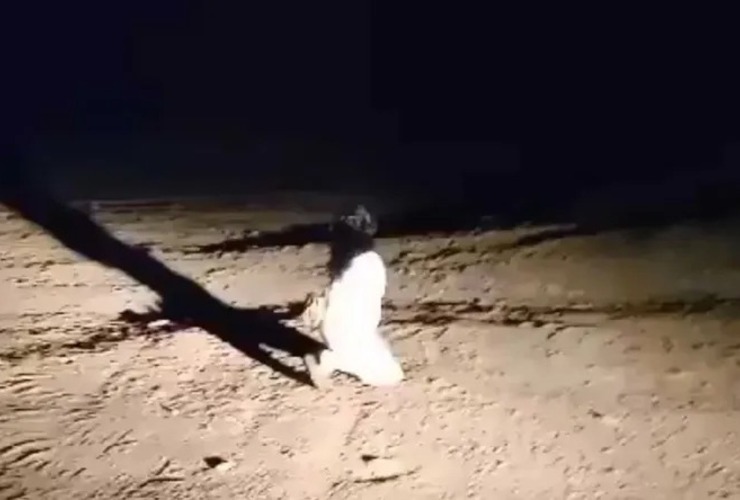 Imagen de Terror en Tucumán: graban a una mujer fantasma caminando de noche en un cementerio