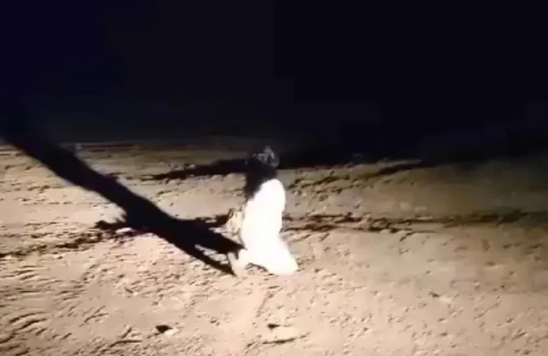 Imagen de Terror en Tucumán: graban a una mujer fantasma caminando de noche en un cementerio