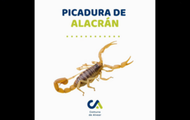 Imagen de Alvear: Recomendaciones de Salud ante el aumento de riesgo de picaduras de alacranes