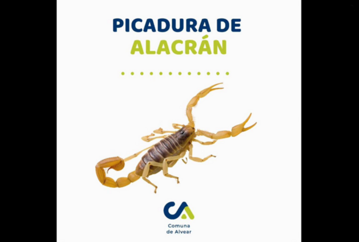 Imagen de Alvear: Recomendaciones de Salud ante el aumento de riesgo de picaduras de alacranes