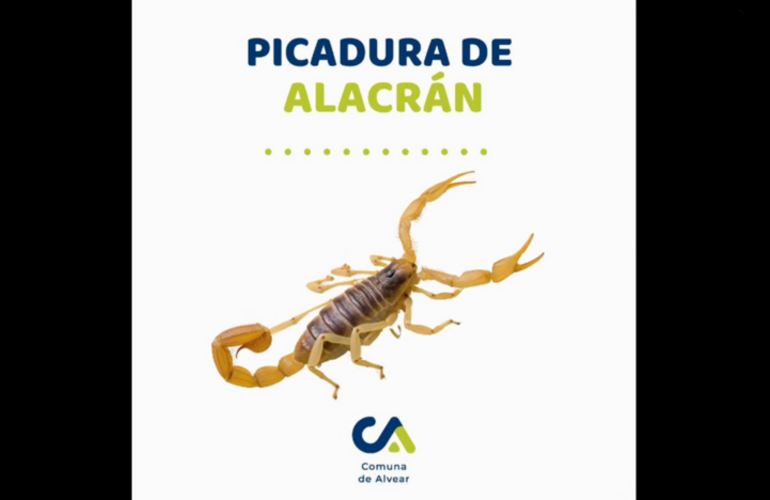 Imagen de Alvear: Recomendaciones de Salud ante el aumento de riesgo de picaduras de alacranes