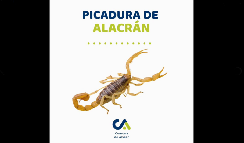 Imagen de Alvear: Recomendaciones de Salud ante el aumento de riesgo de picaduras de alacranes