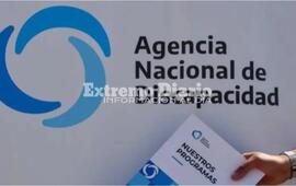 Imagen de La Agencia de Discapacidad garantiz&oacute; la continuidad de programas en todo el pa&iacute;s