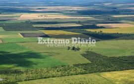 Imagen de La Justicia suspendi&oacute; la derogaci&oacute;n de la ley de Tierras prevista en el DNU