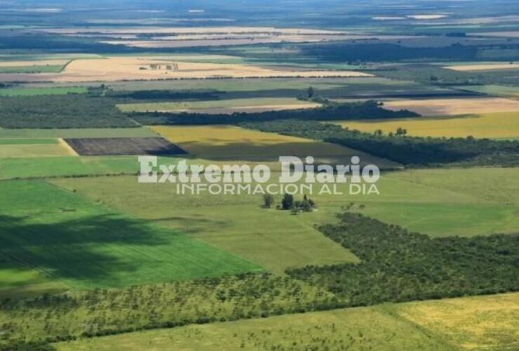 Imagen de La Justicia suspendió la derogación de la ley de Tierras prevista en el DNU