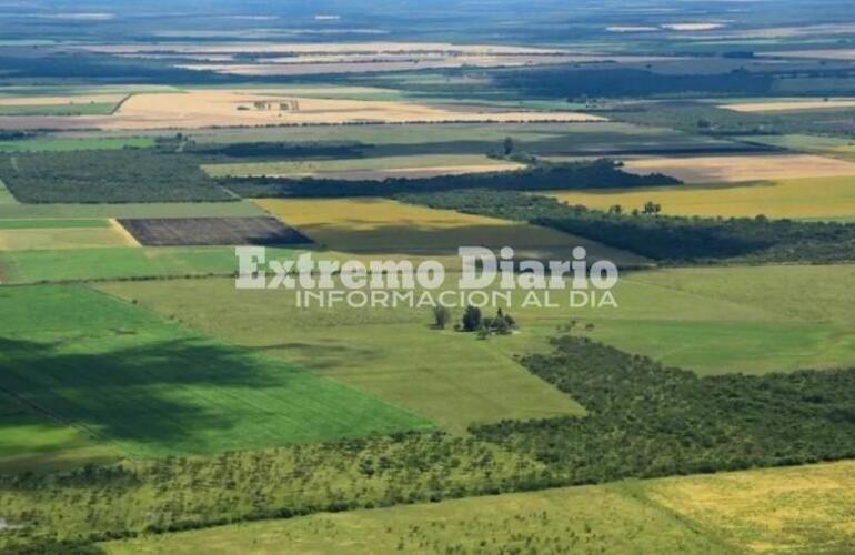 Imagen de La Justicia suspendió la derogación de la ley de Tierras prevista en el DNU